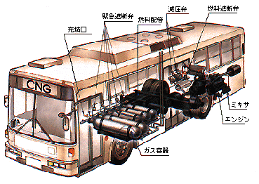 バスの構造