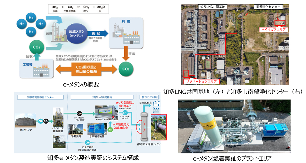 導入活動の概要